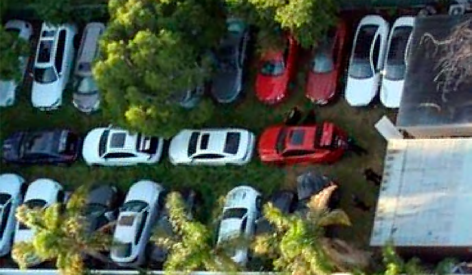 Cars parked in a field