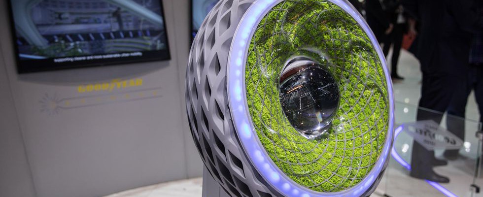 Plant based tires?